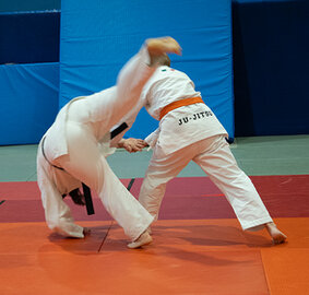 Praticanti di jujitsu che si salutano sul tatami del dojo